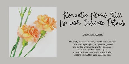 Genvique Signature Font Poster 3