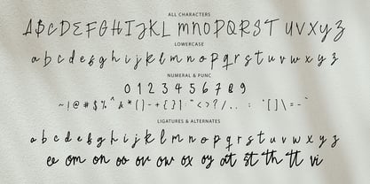 Genvique Signature Font Poster 4