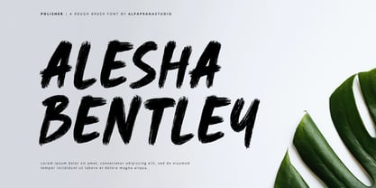 Polisher Font Poster 2