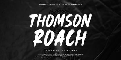 Polisher Font Poster 6