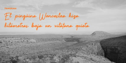 Reposida Font Poster 8