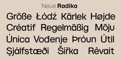 Neue Radika Font Poster 9