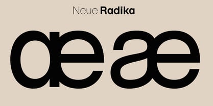 Neue Radika Font Poster 14