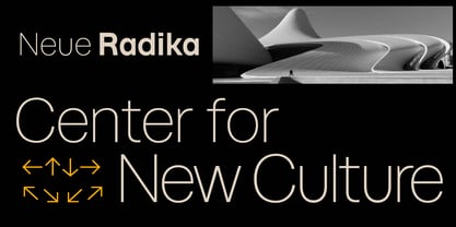 Neue Radika Font Poster 15