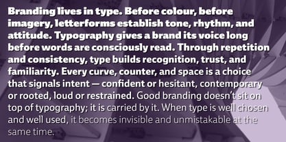 Ebony Font Poster 9