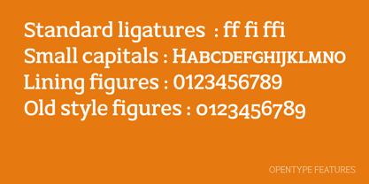 AC Texto Serif Pro Font Poster 7