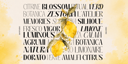 Galvero Font Poster 2