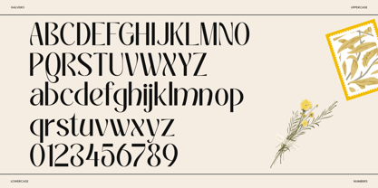 Galvero Font Poster 8
