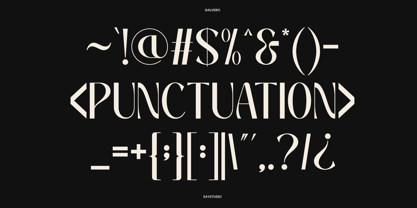Galvero Font Poster 9