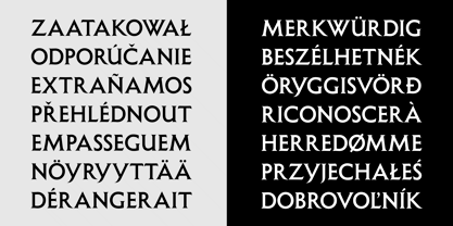 Shàngó Gothic Font Poster 11