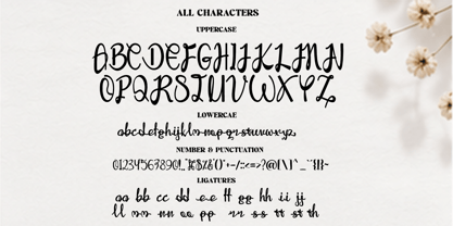 Mylive Font Poster 2