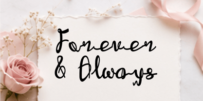 Mylive Font Poster 6