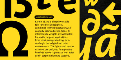 Karmina Sans Font Poster 6