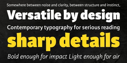 Karmina Sans Font Poster 9