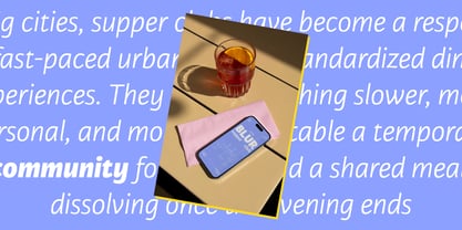 Karmina Sans Font Poster 5