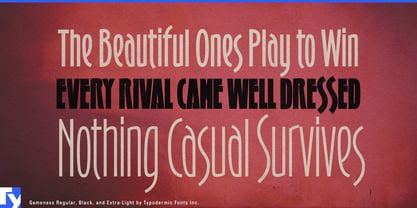 Gameness Font Poster 4