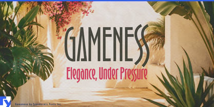 Gameness Font Poster 1