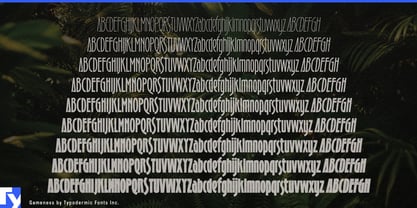 Gameness Font Poster 6