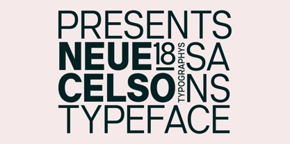 Neue Celso Font Poster 2