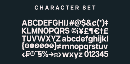 Neue Celso Font Poster 9