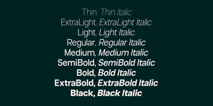 Neue Celso Font Poster 6