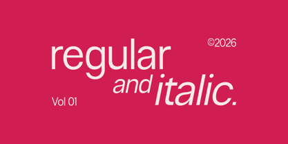Neue Celso Font Poster 11