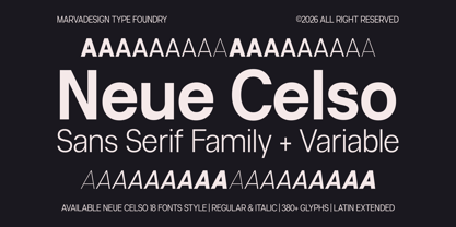 Neue Celso Font Poster 1