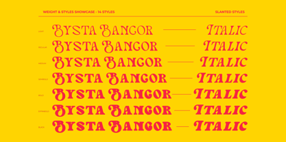Bysta Bangor Font Poster 13