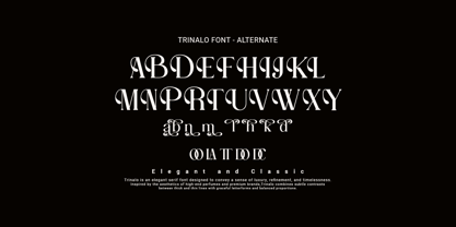 Trinalo Font Poster 4
