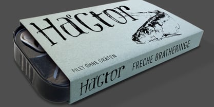 Haegtor Font Poster 6