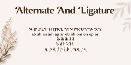 Morillon Font Poster 9