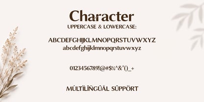 Morillon Font Poster 8