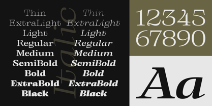 Binetra Font Poster 3