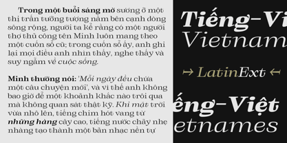 Binetra Font Poster 6
