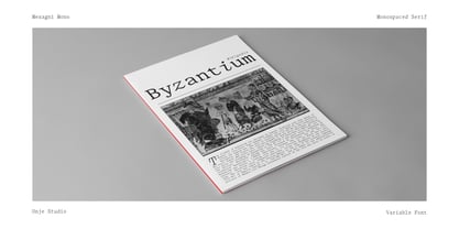 Mesagni Mono Font Poster 11