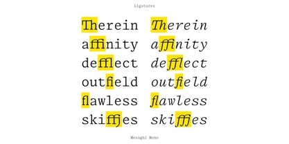 Mesagni Mono Font Poster 6