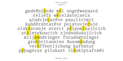 Mesagni Mono Font Poster 7