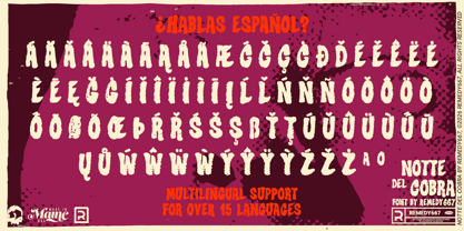 Notte Del Cobra 667 Font Poster 8