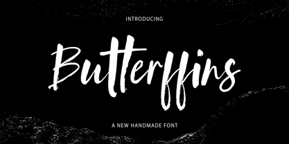 Butterffins Font Poster 1