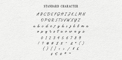 Messy Angelic Font Poster 11
