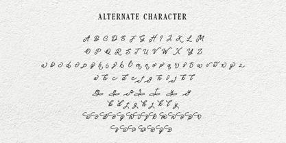 Messy Angelic Font Poster 12