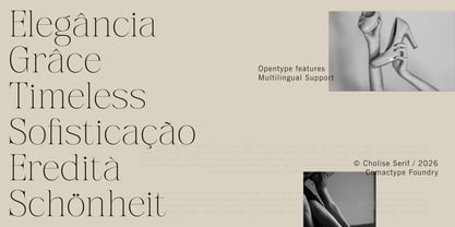 Cholice Font Poster 3