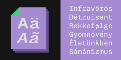 Montase Mono Font Poster 4