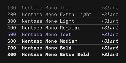 Montase Mono Font Poster 2