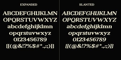 Boldrion Font Poster 9
