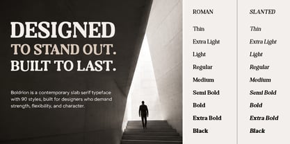 Boldrion Font Poster 2