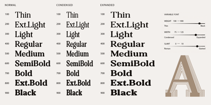 Boldrion Font Poster 4
