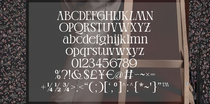 Belisse Font Poster 6