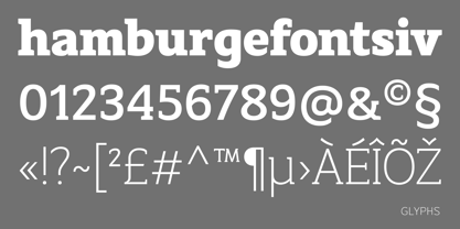 AC Texto Serif Font Poster 6