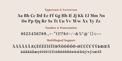 Veloire Font Poster 12